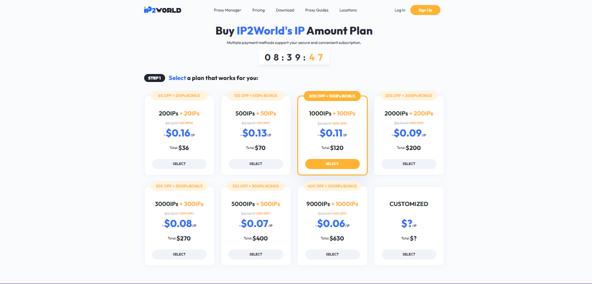 IP2World's IP Amount Plan