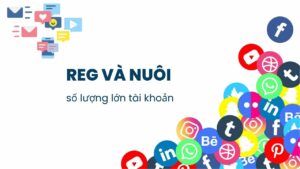 Cần chuẩn bị gì để reg và nuôi số lượng lớn tài khoản các nền tảng FB, Insta, X (Twitter), TikTok,…?